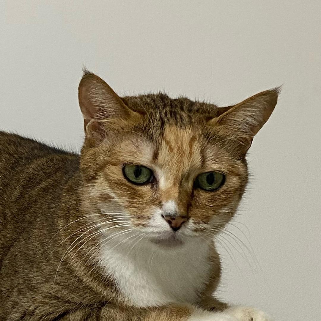 看我的都会发财