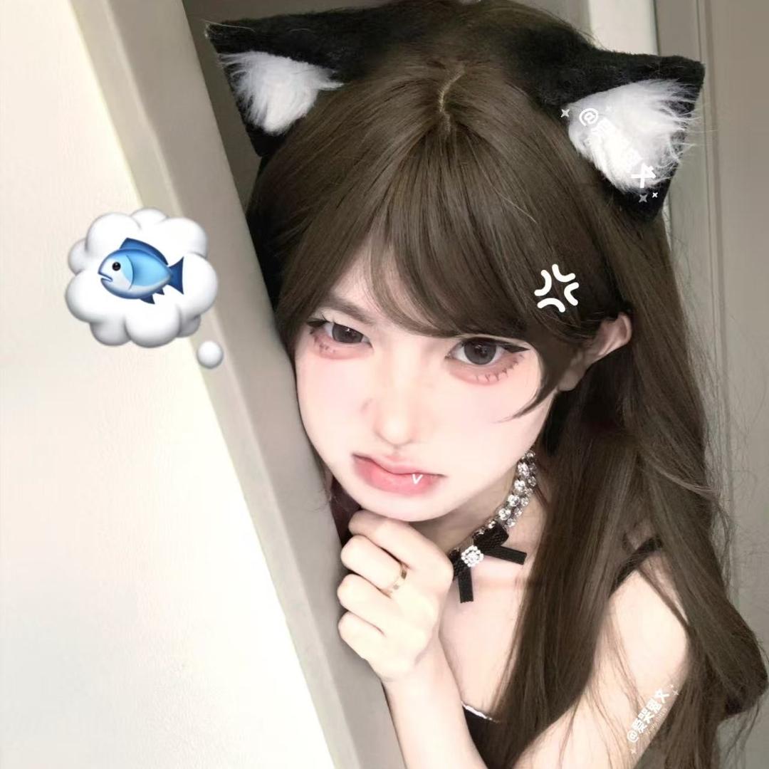 财金小萌大王