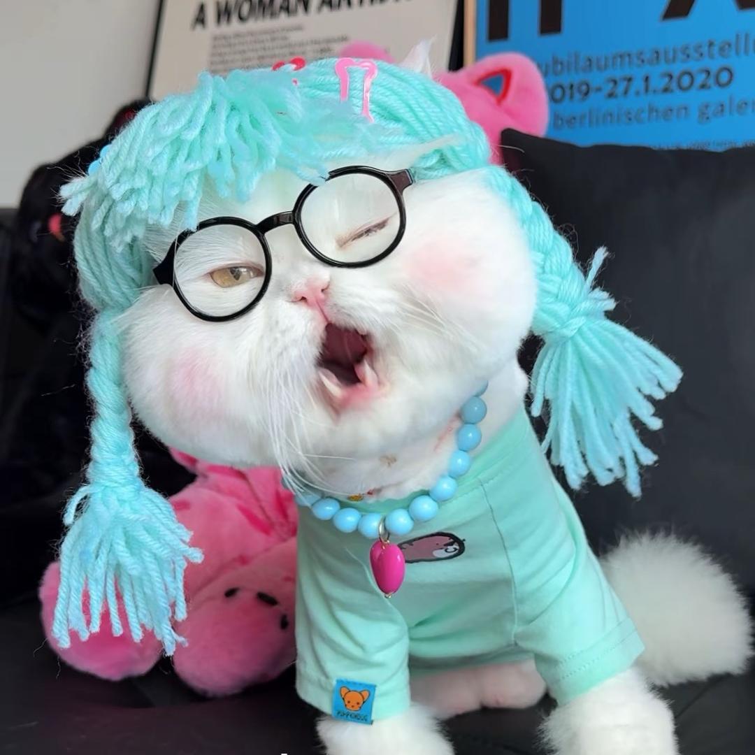欢又欠费了