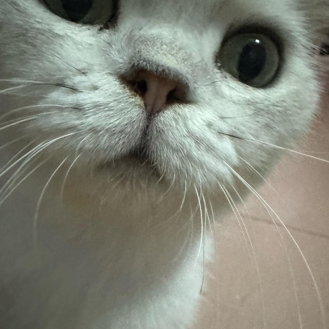 露过娜座城