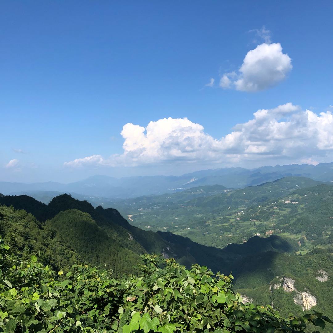暴哥^