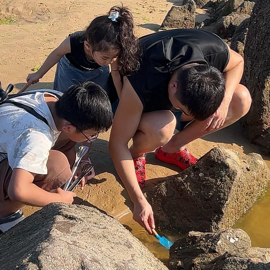 板面🏠装修日记