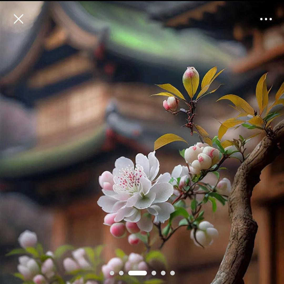 生活很苦有你才甜