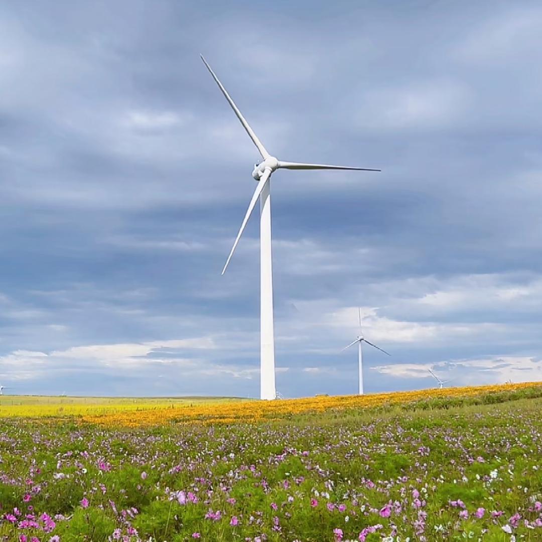 ˋˏᰔᩚˎˊ˗?:浅笑不语 ღ᭄ꦿ: