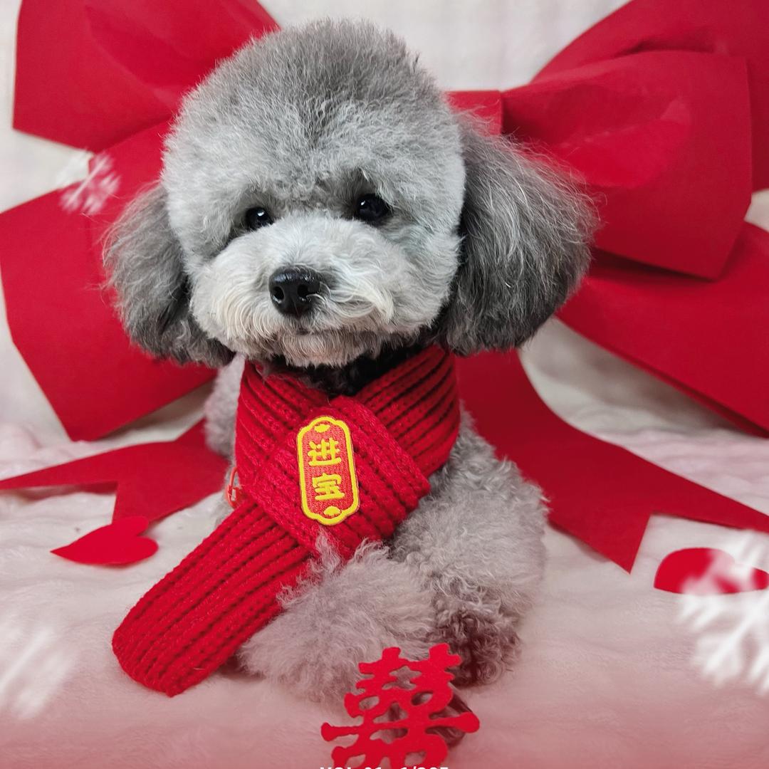 小头宝和大头圆