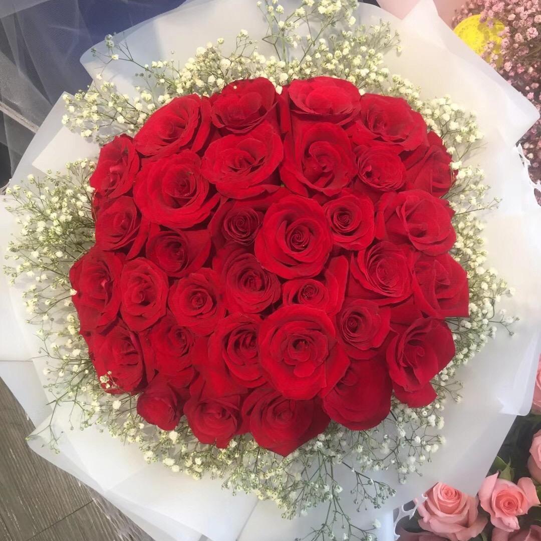 让世界🌹 心如花木🌹向阳而生🌹