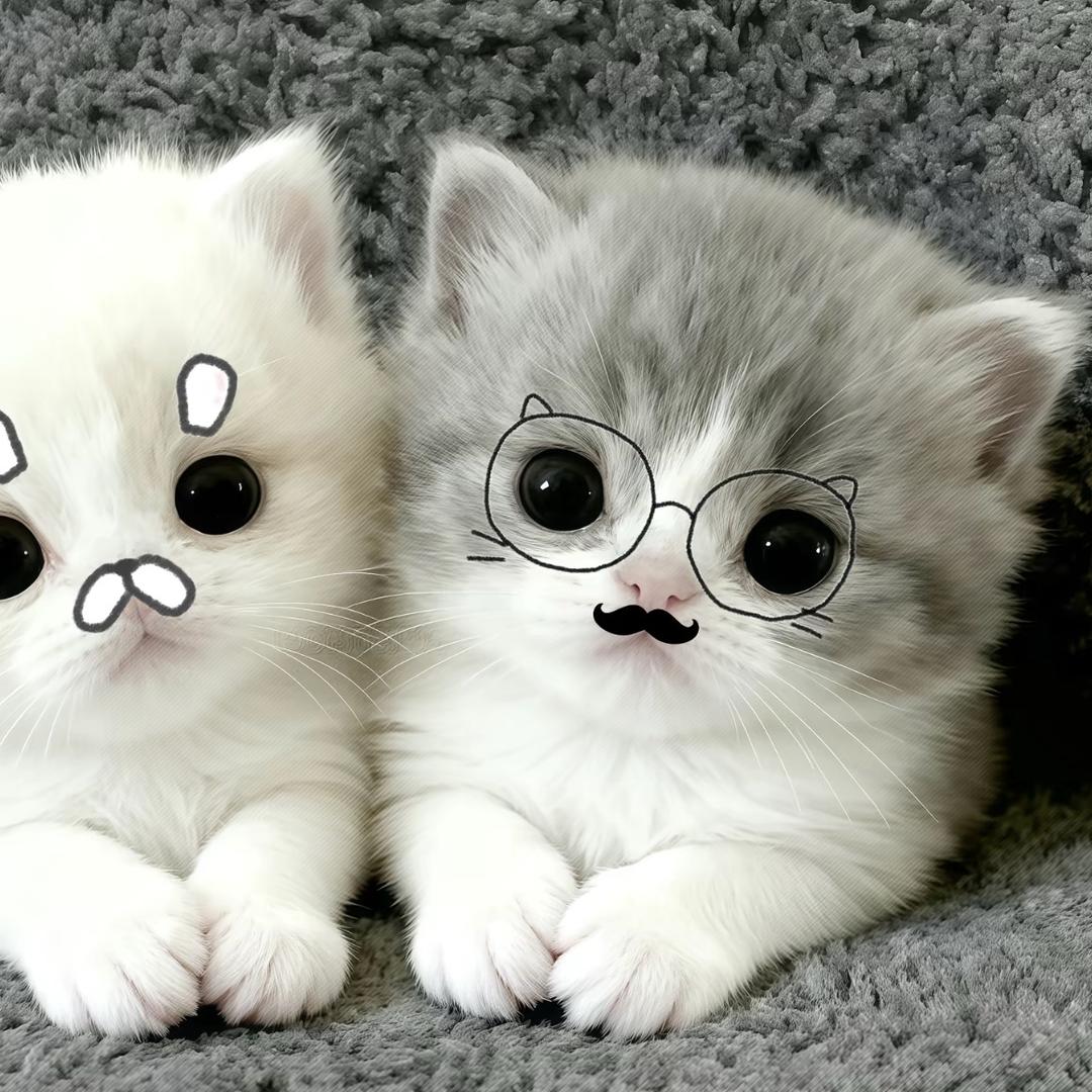 愚人金二限认真的吗👁️👁️