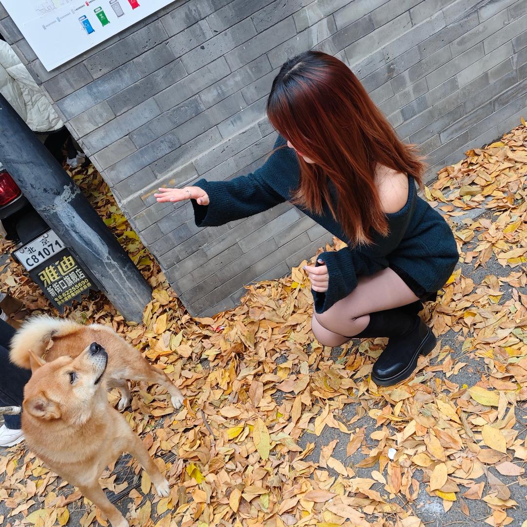 小眼眯眯de