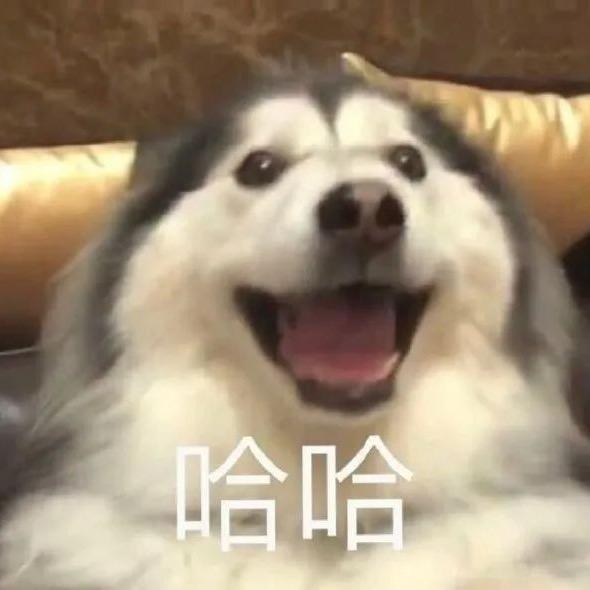 阿庆（大实话版）