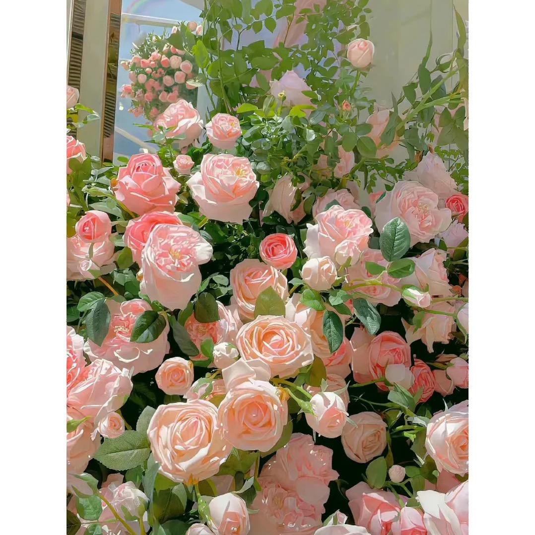 爱宝❤