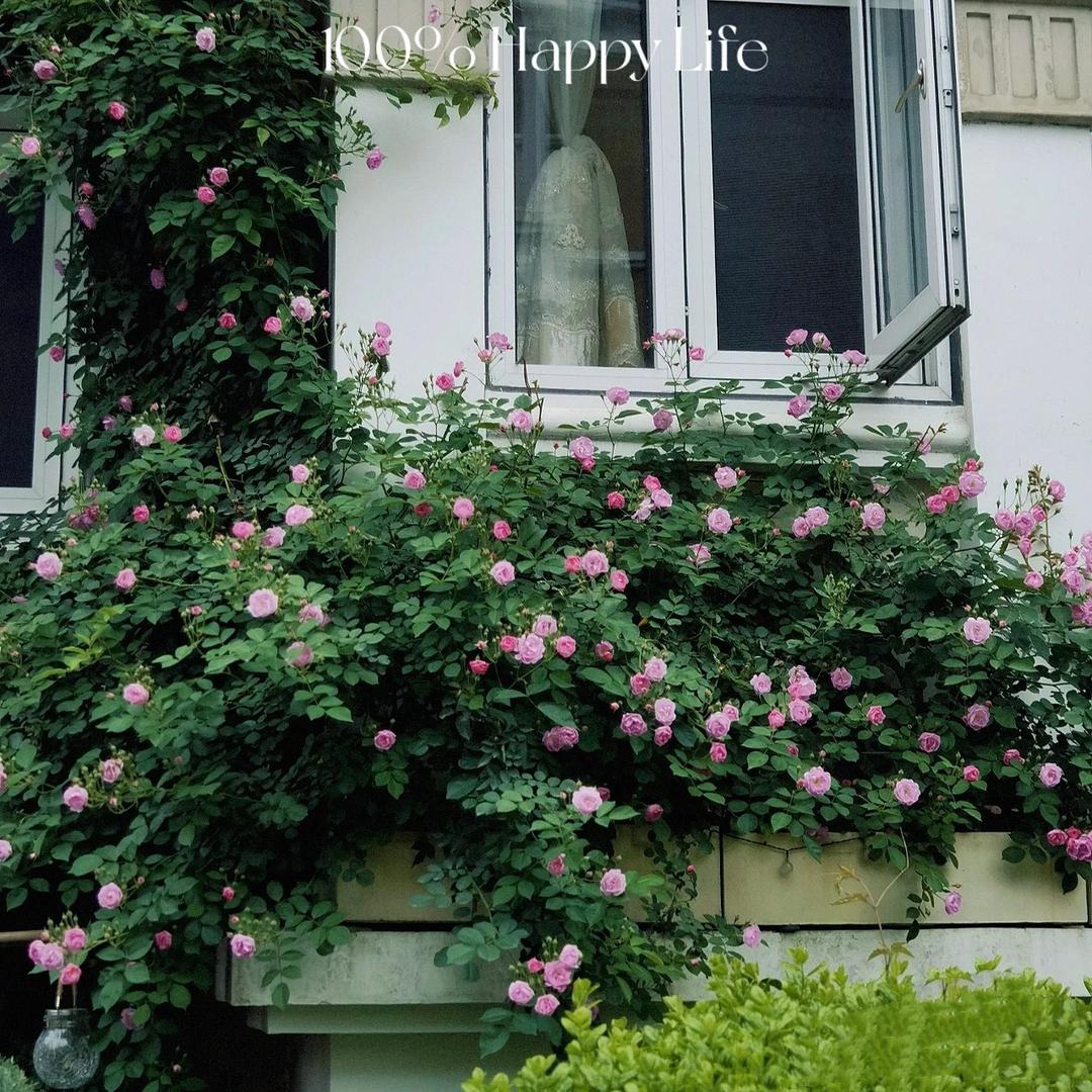 悠然小院-