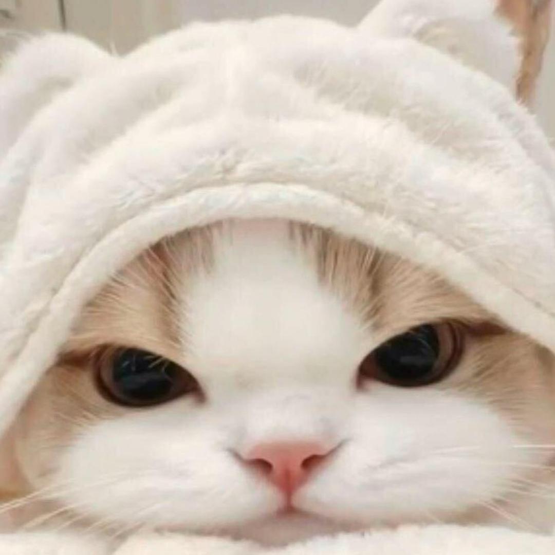 小小红O.o