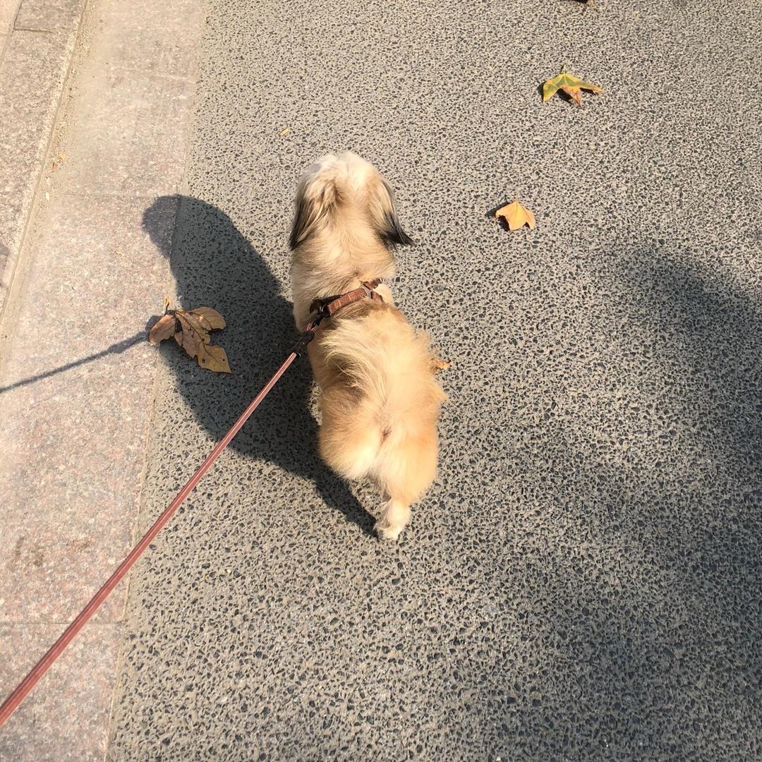 睡到人间煮饭时