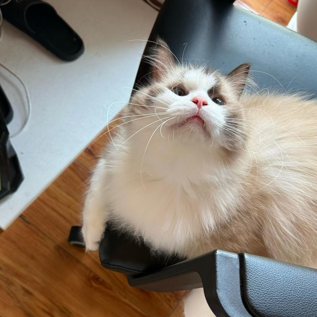 左海亚丹全屋生态定制