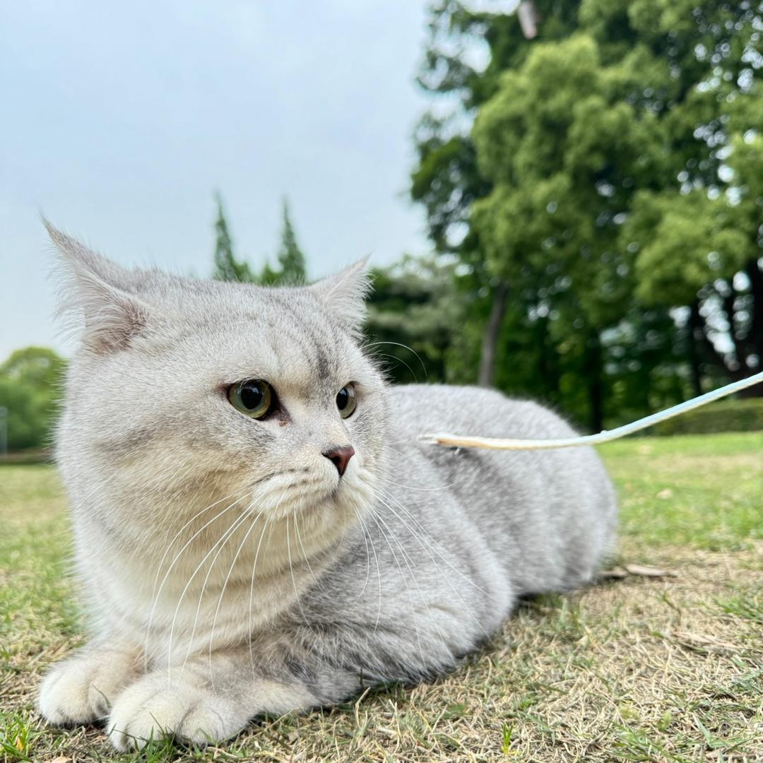 天晴色等烟雨