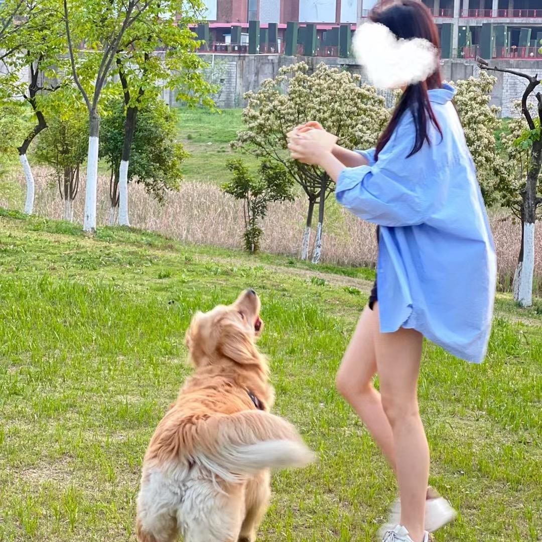 绿城燕语春风小葛