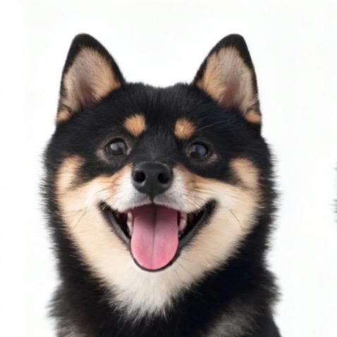 小魏小魏杰尼杰尼