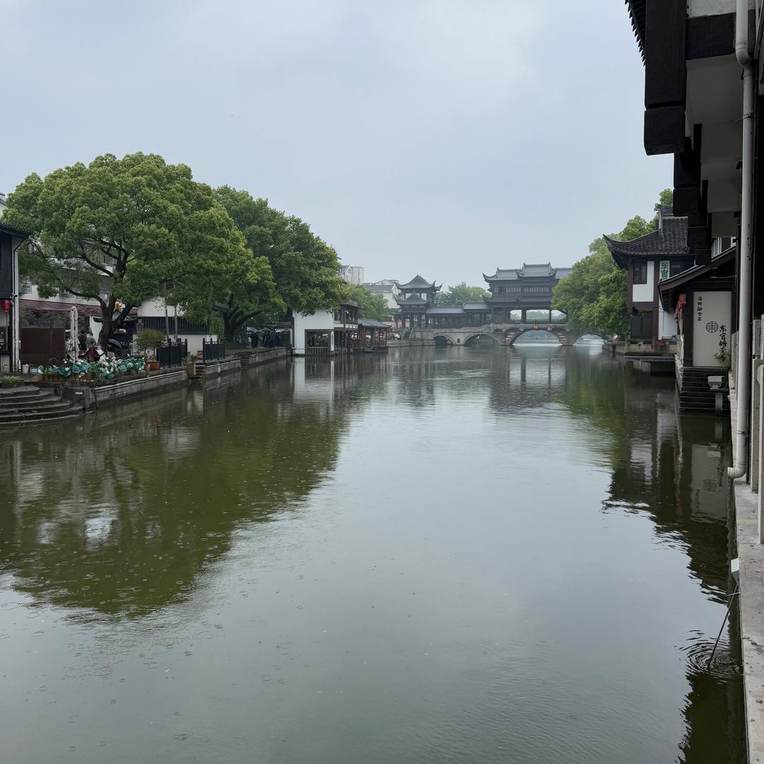 莎莎