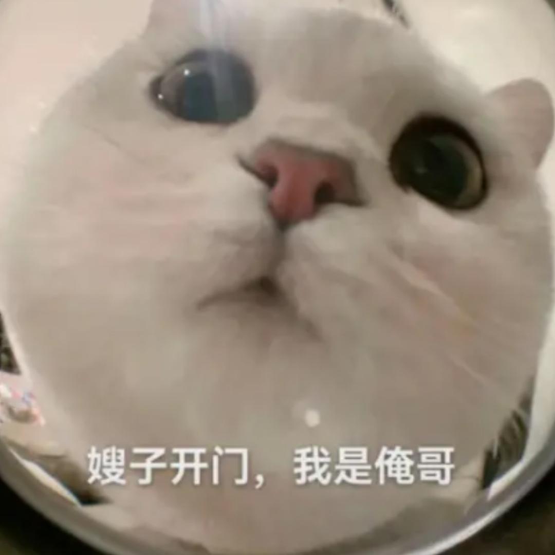 嫂子开门我是我哥！