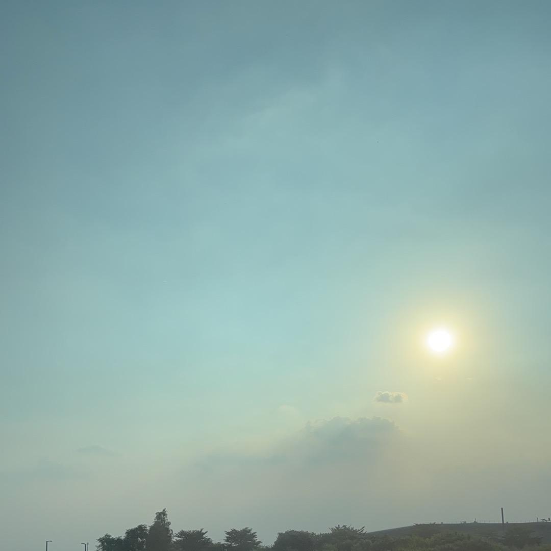 国内外货物运输