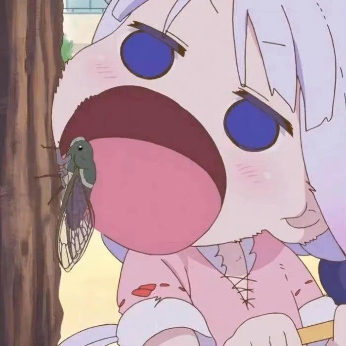 正义的迪迦牛牛