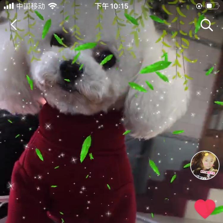 快乐的小老娘们