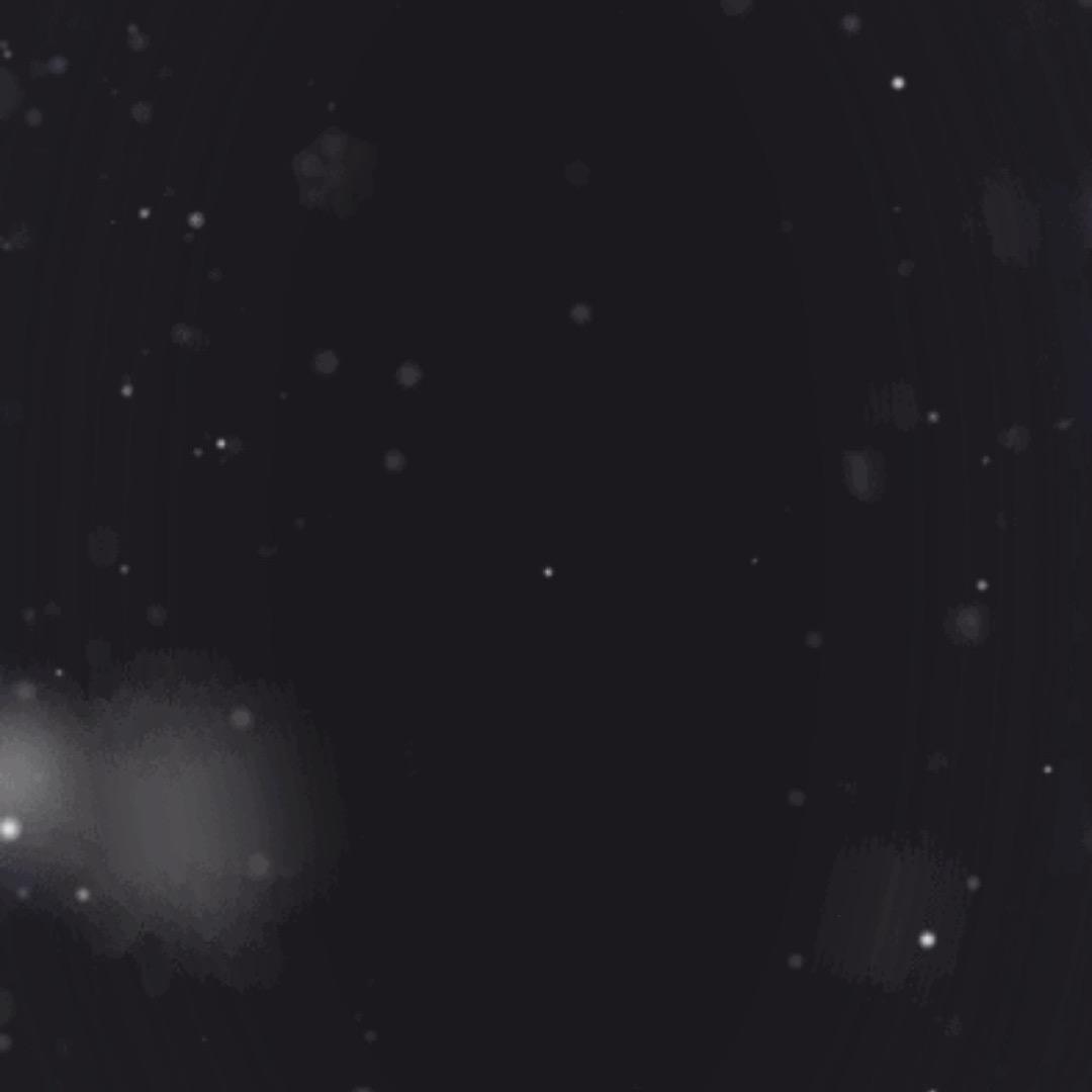 小袁小袁，情有可原。