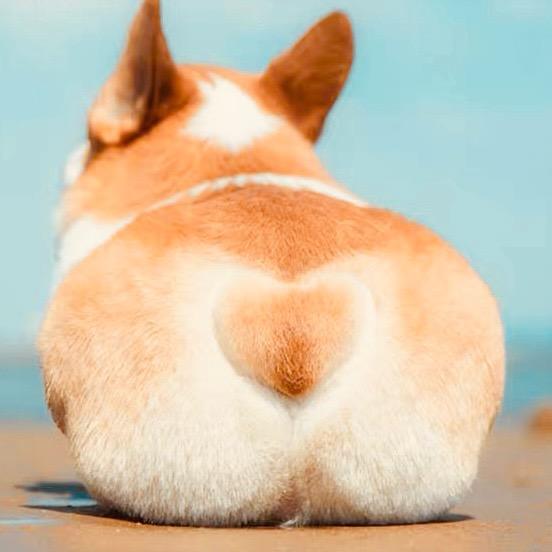 👀👄大头丽👀👄团团麻麻