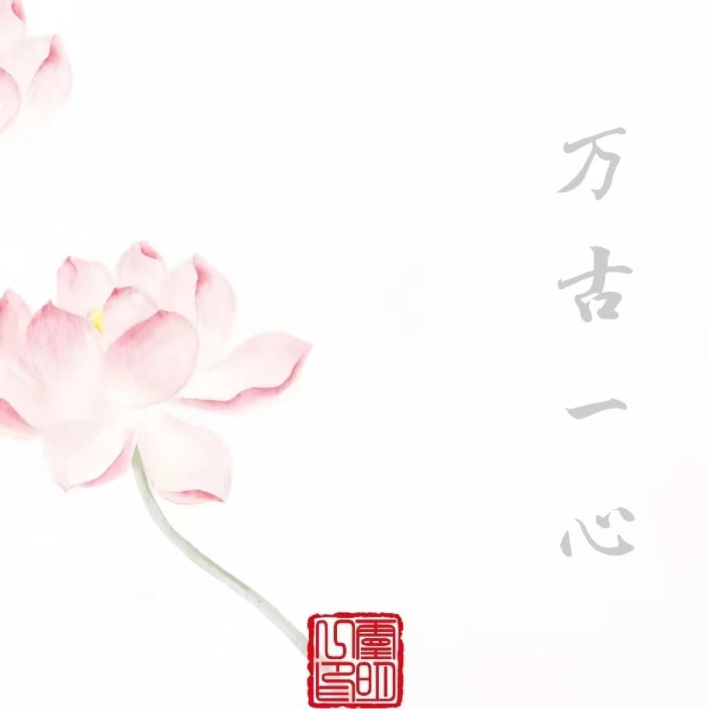 小huihui