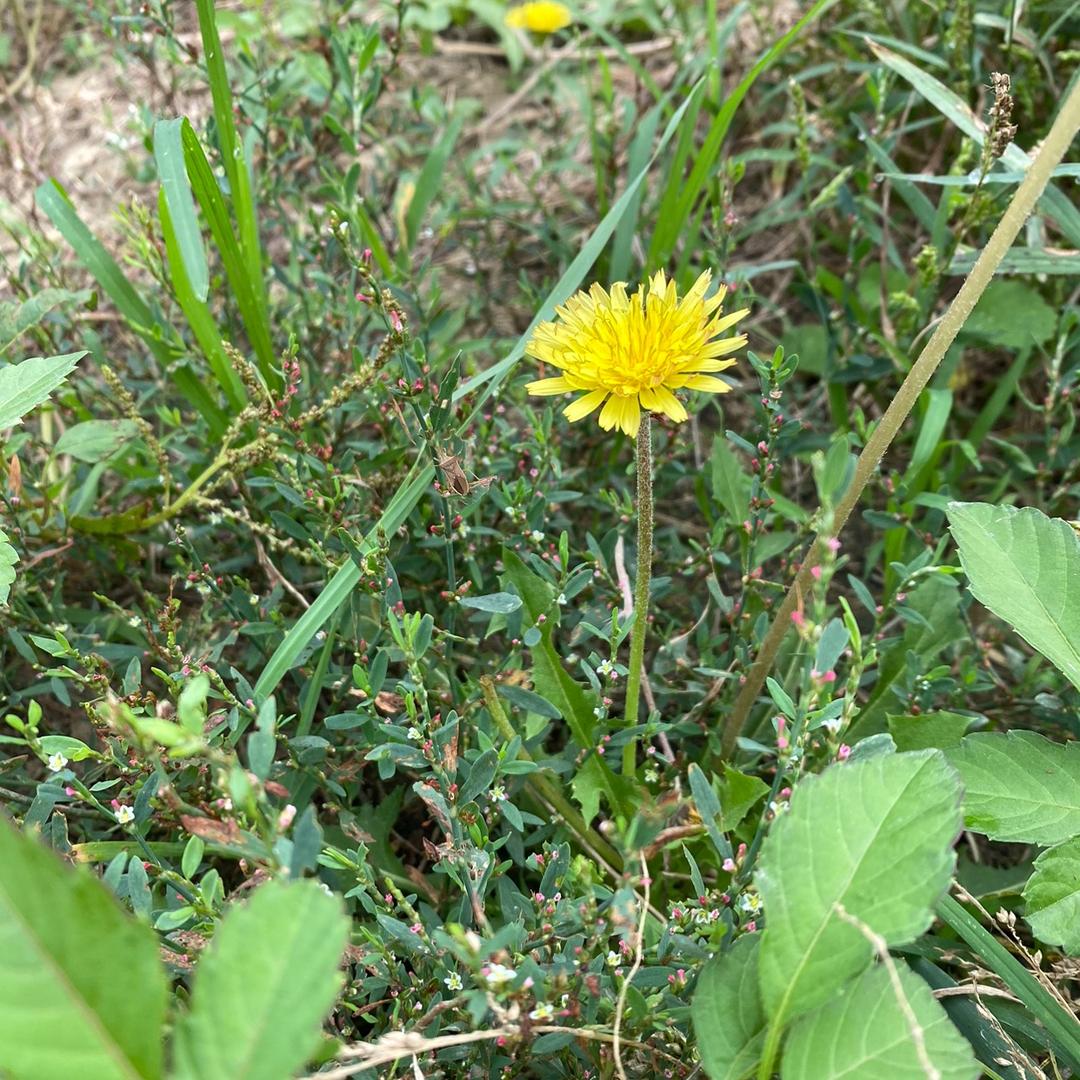 惠优生鲜