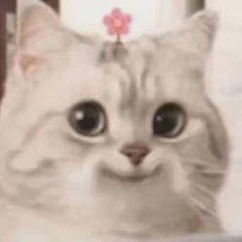 卡西莫多的礼物