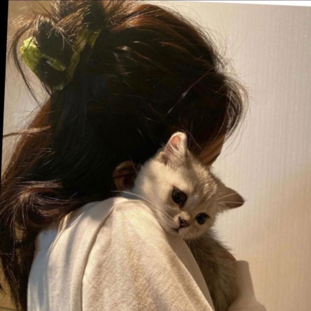 小h呀