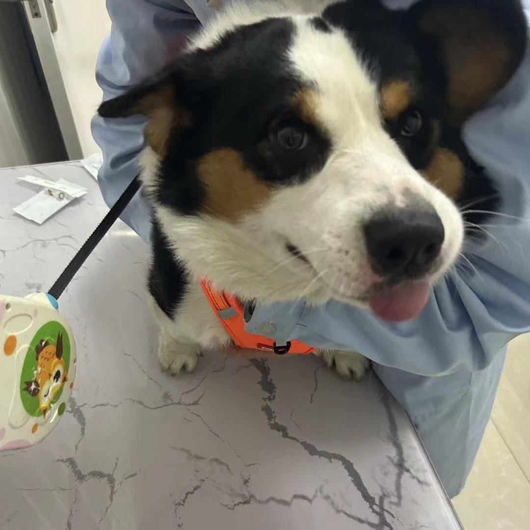 一朵朵朵朵🍦～