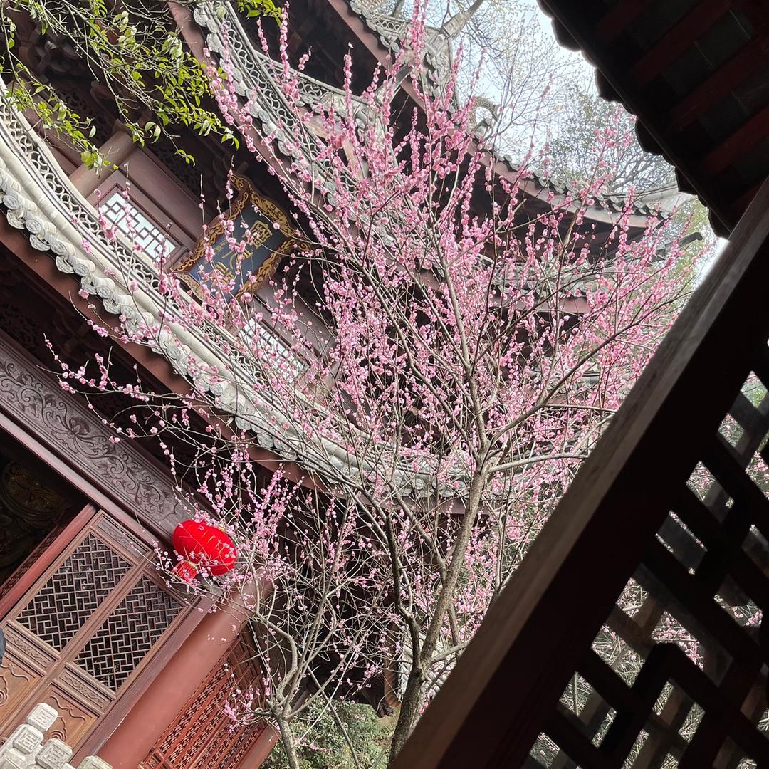吴畏