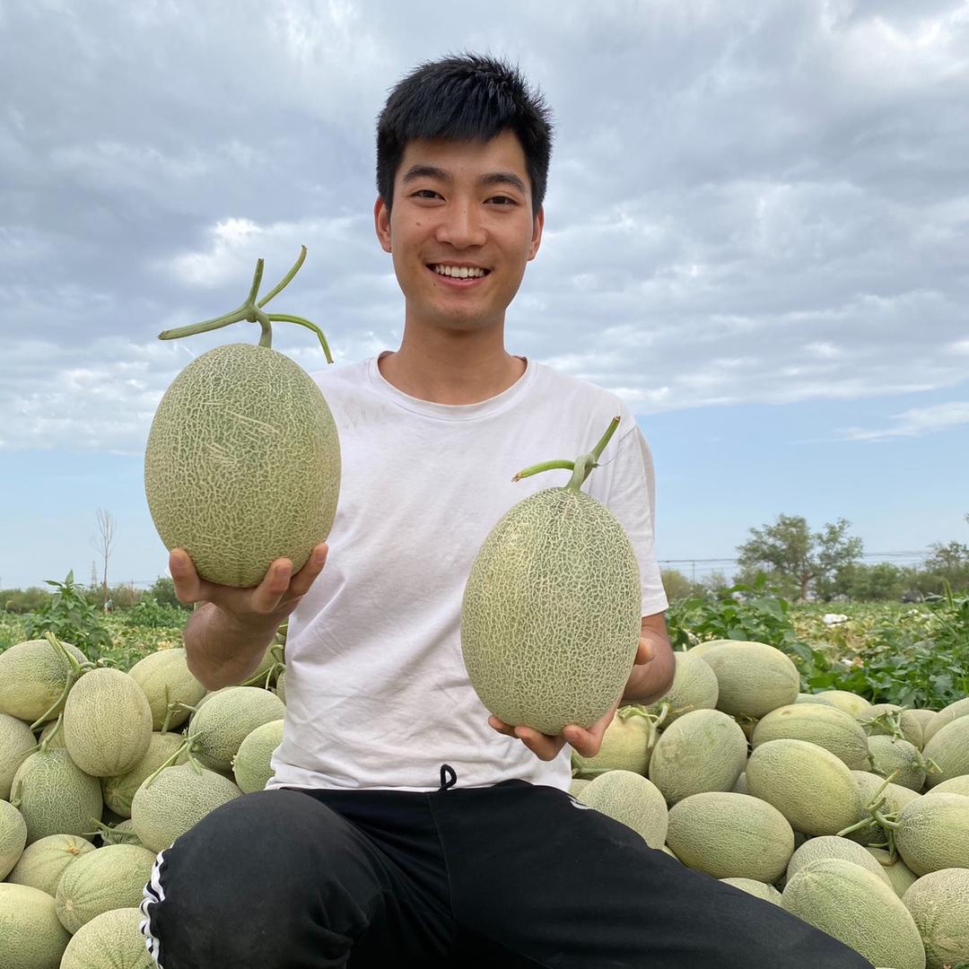 新疆小威