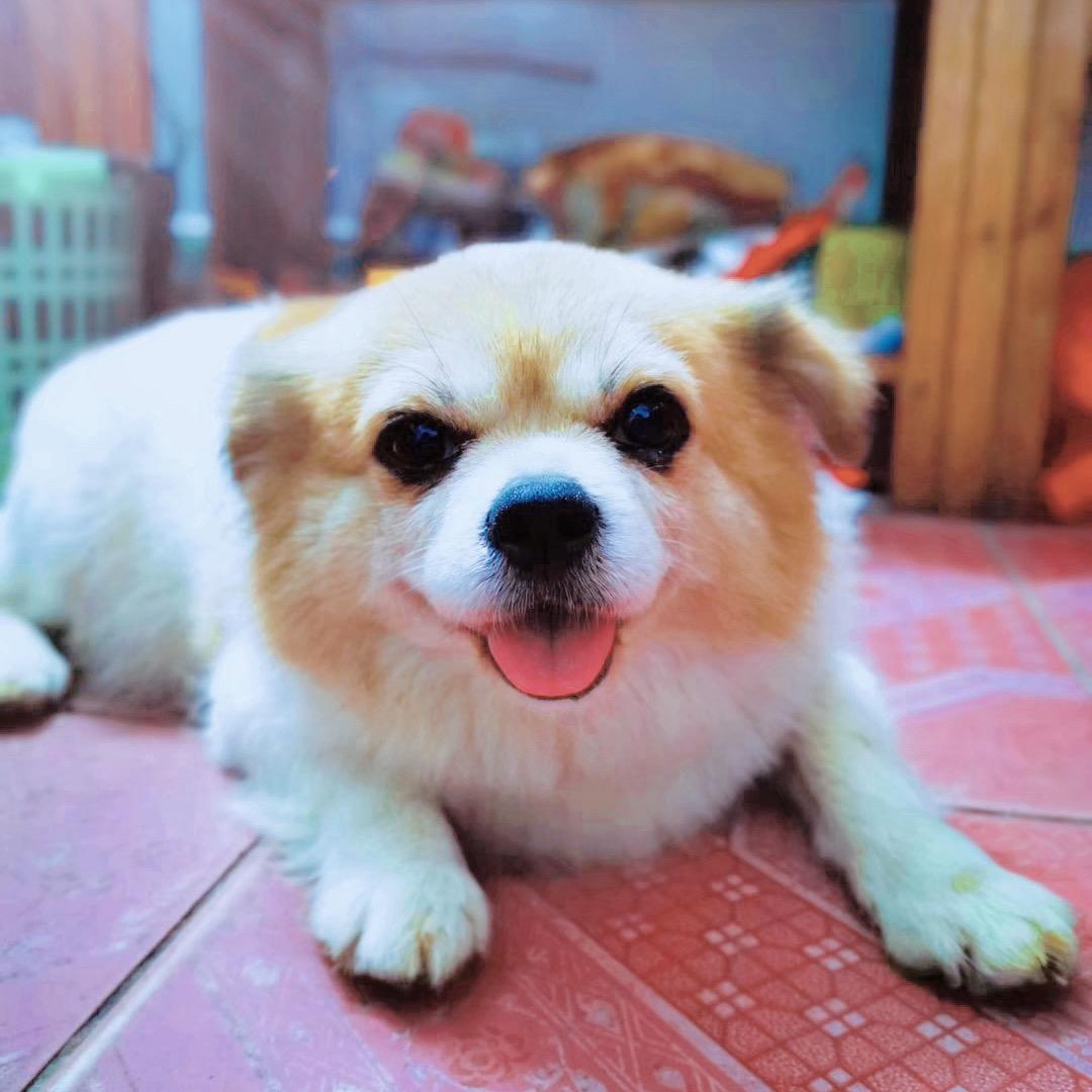 不知道o