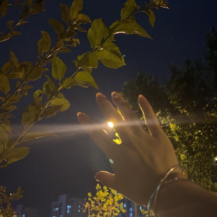 小虾米