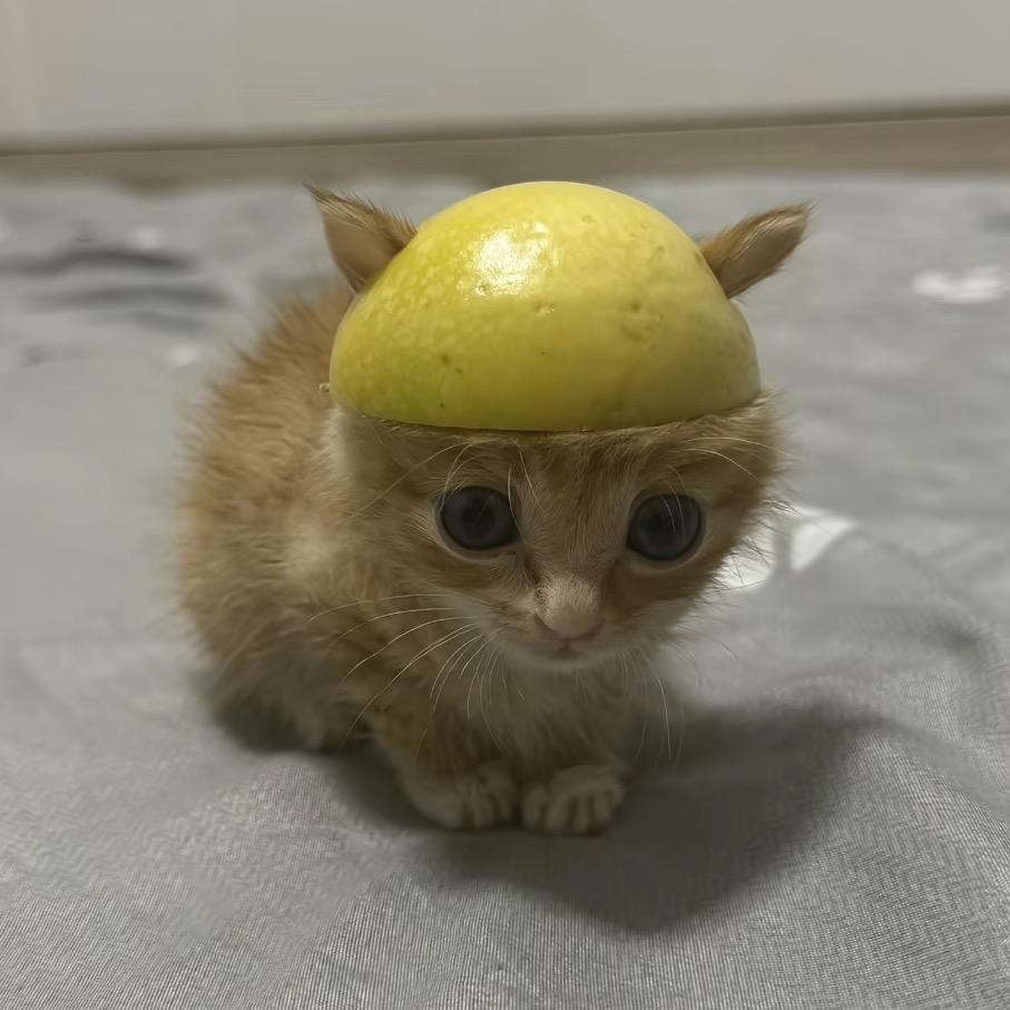 不会玩智能手机