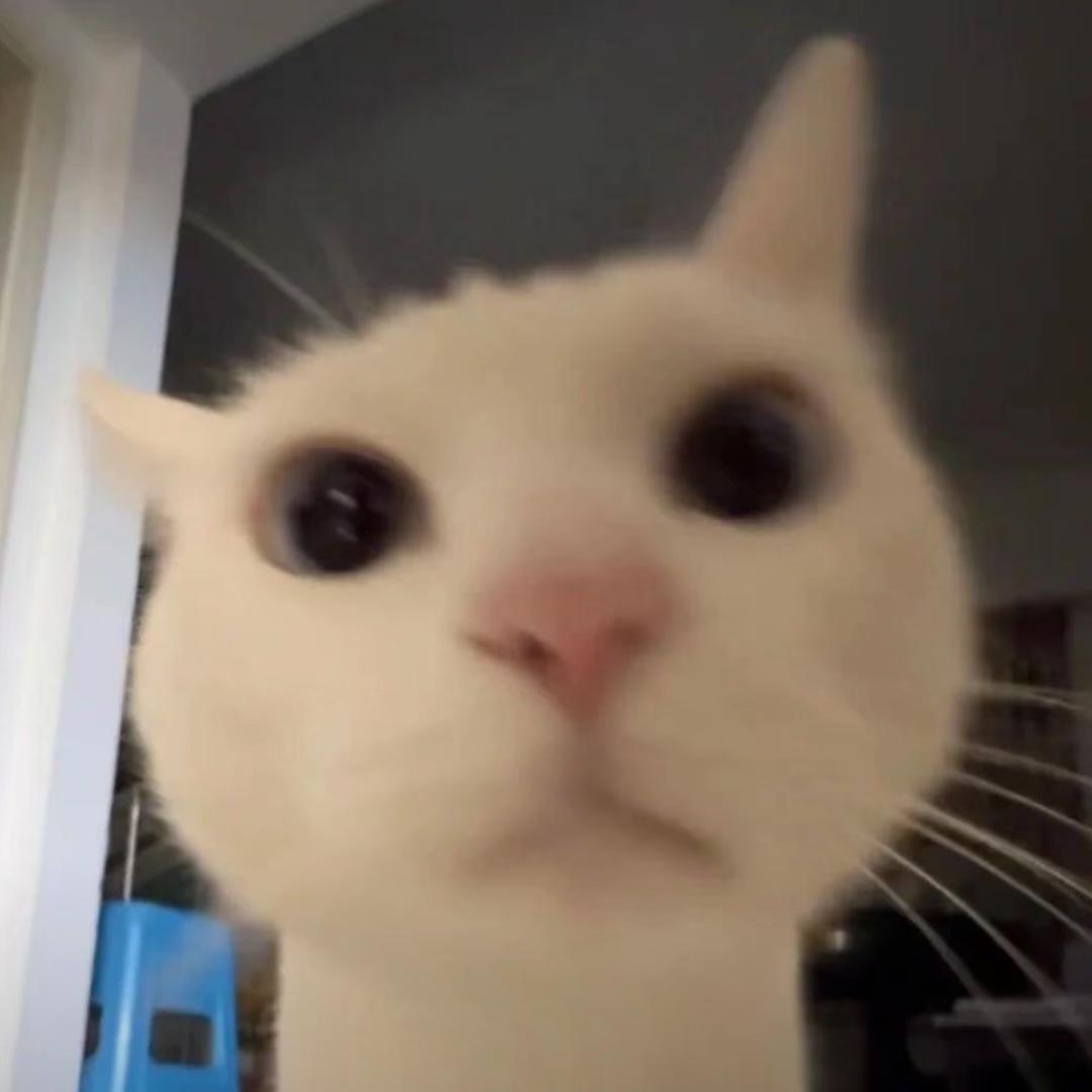 给你宇宙好不好