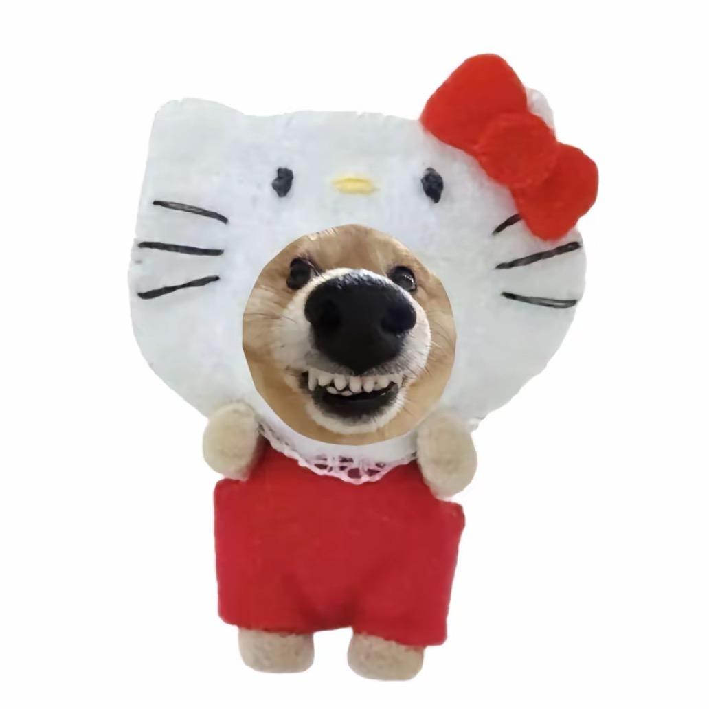 一个小榴莲