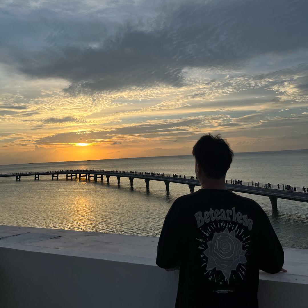 棕榈树🌴