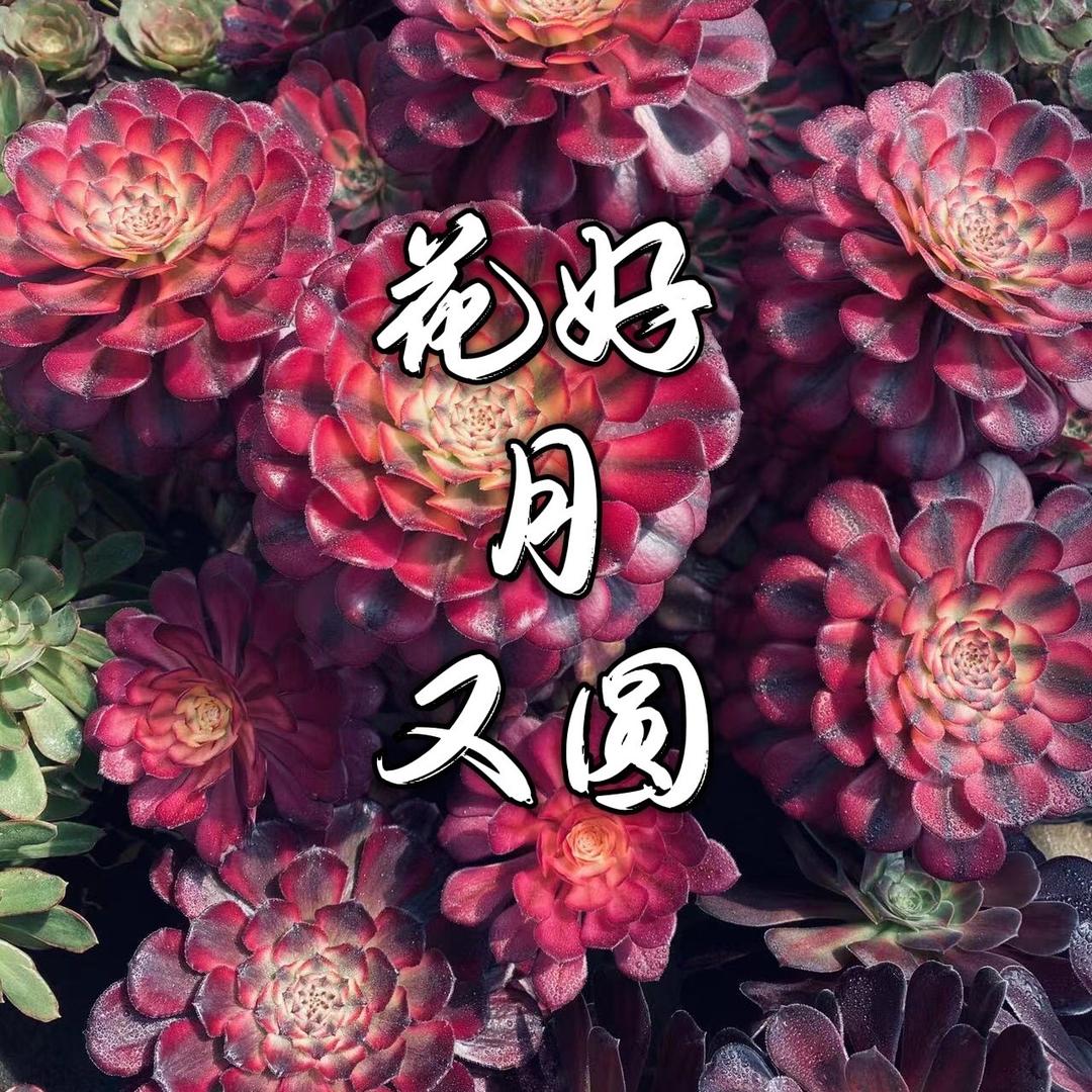 花好月又圆