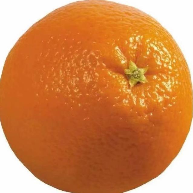 想抱一根大螃蟹腿