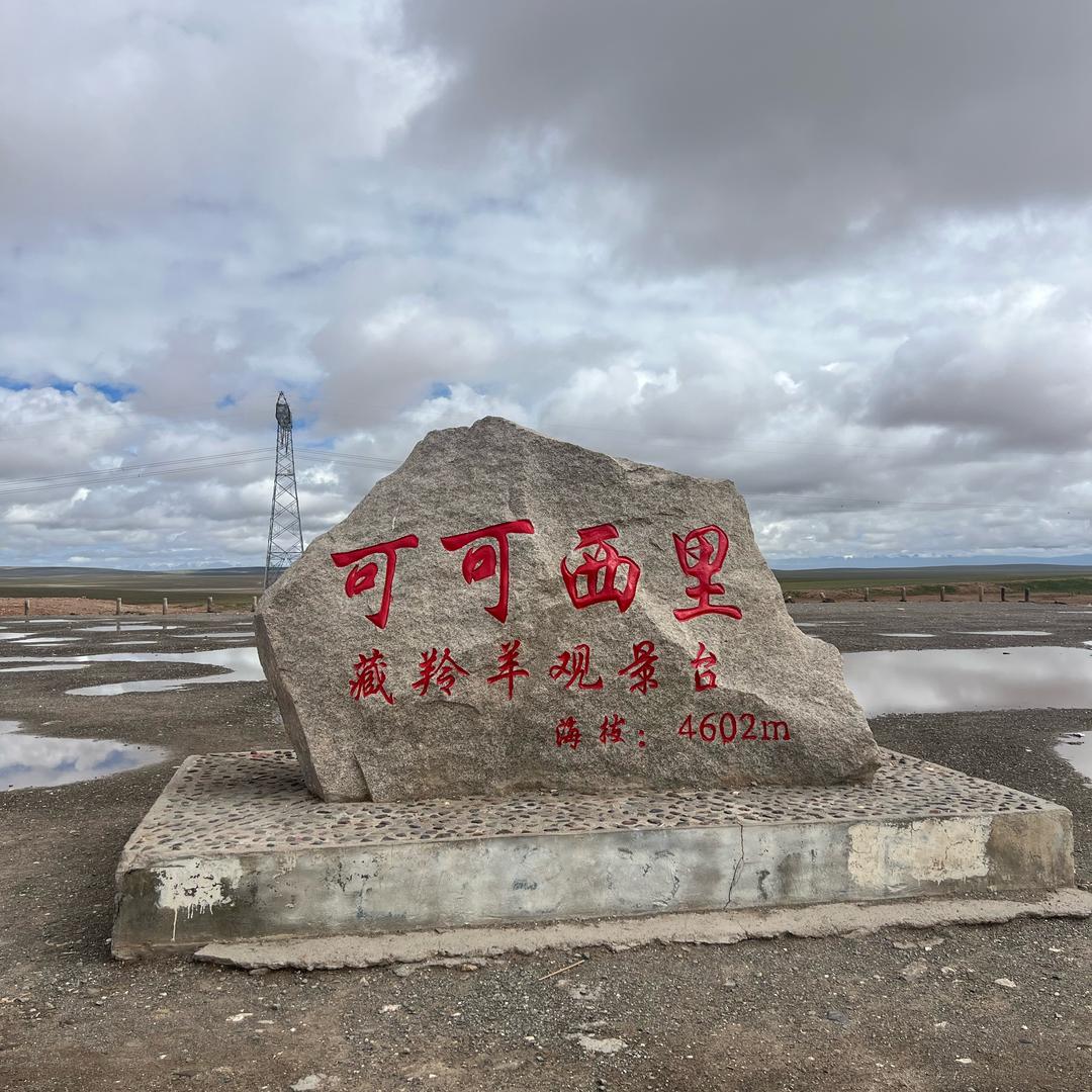 来生