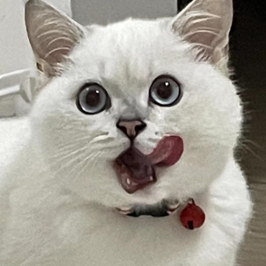 你猜我猜不猜
