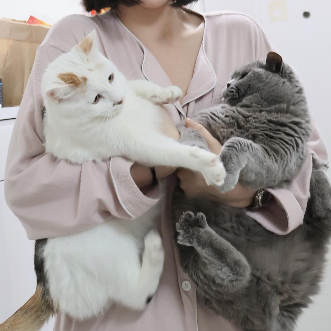 悠米和泡芙