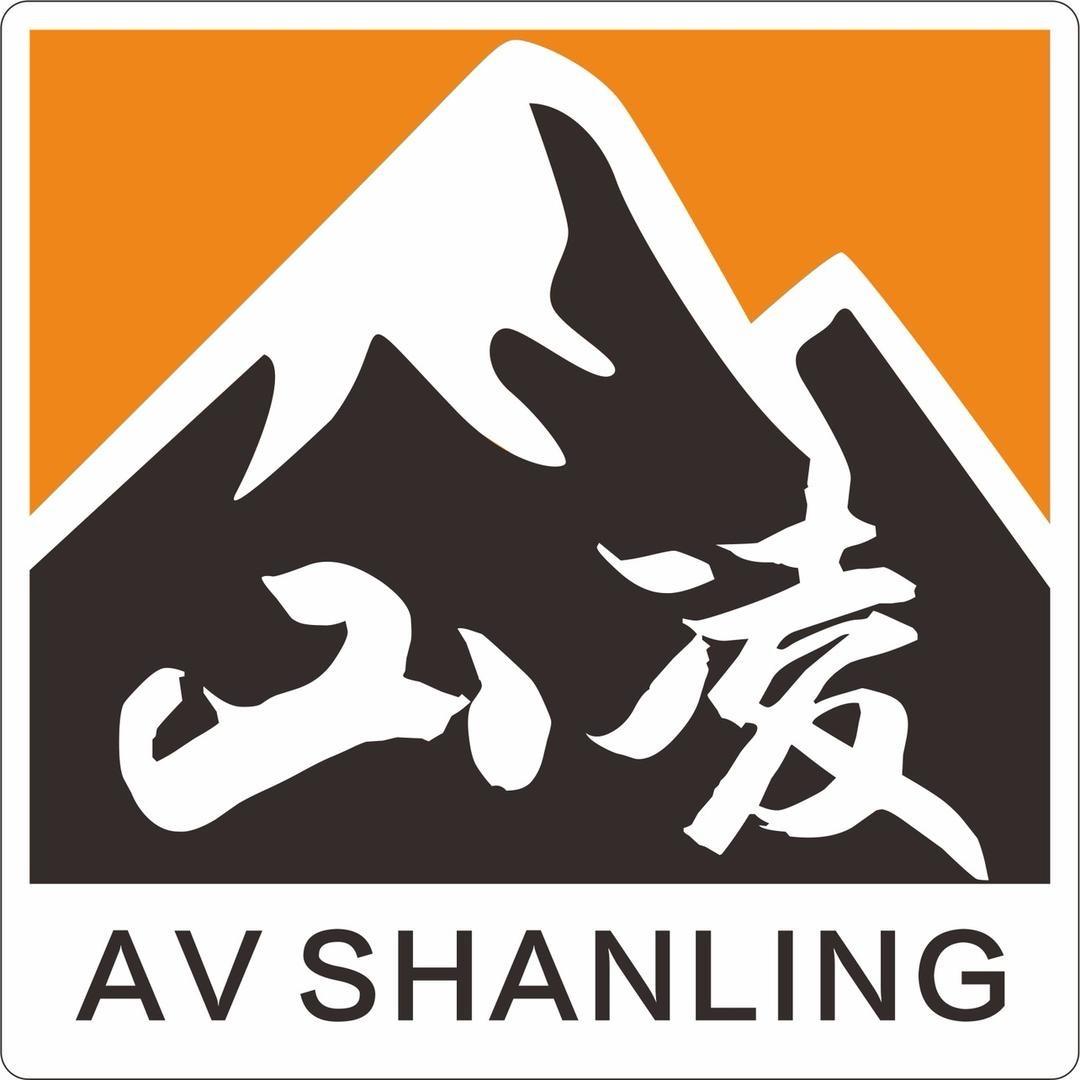 山凌音响旗舰店