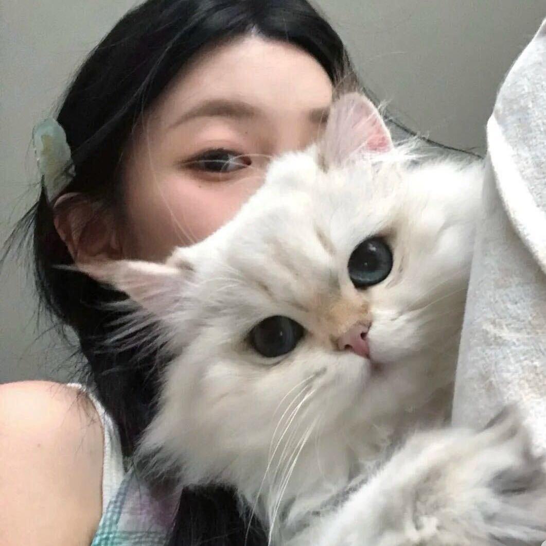 温暖Diy猫爬架生产厂家