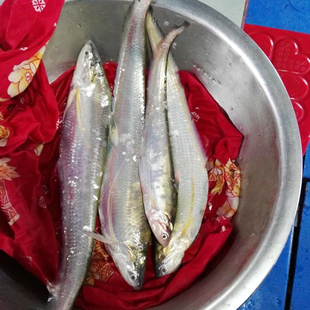 小李尝鱼鲜