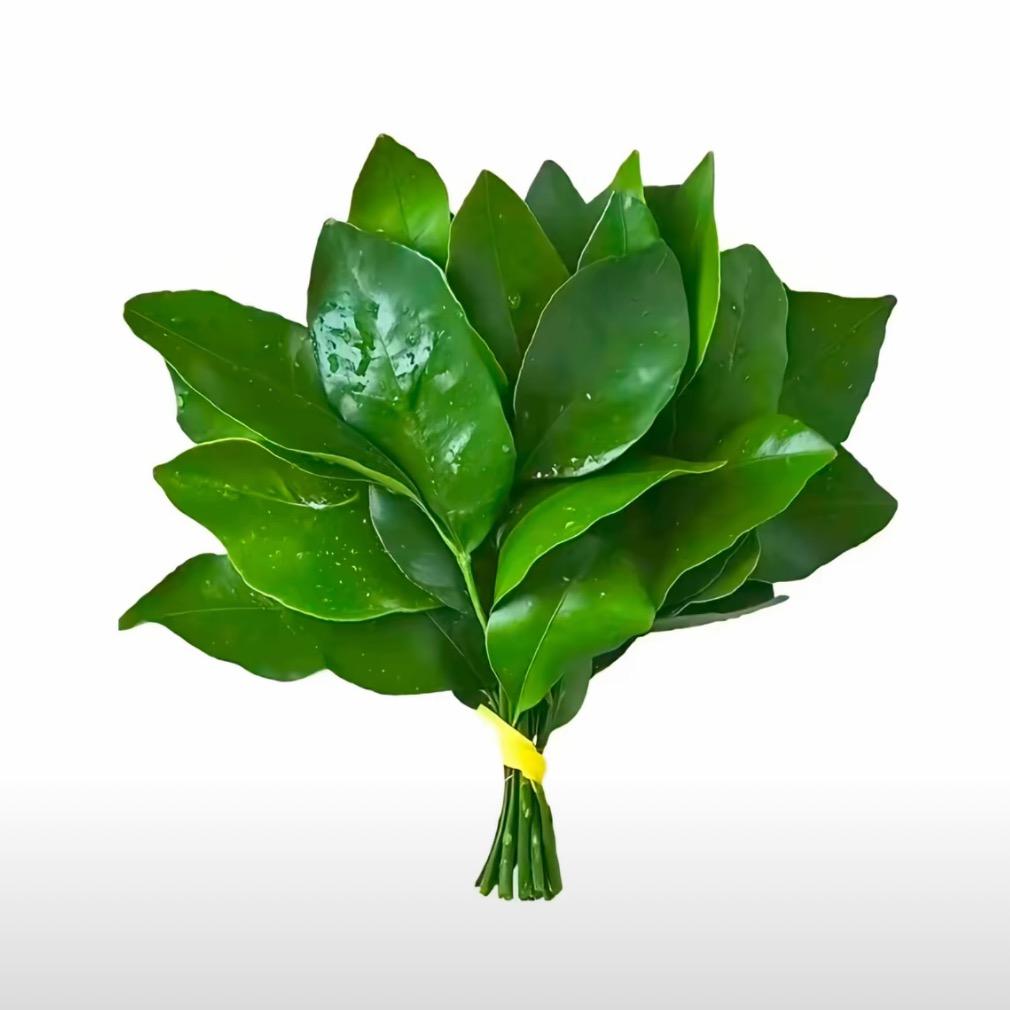 生椰拿铁